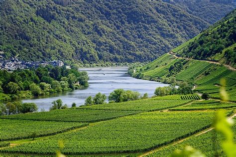 Moselle Valley (Luxembourg) – Travel guide at Wikivoyage.